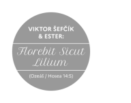 3D_Sefcik